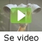 video|https://img.youtube.com/vi/-p7bQKoxHr8/0.jpg