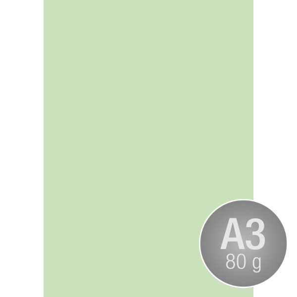 Image Coloraction A3 80 g | 500 ark | Ängsgrön