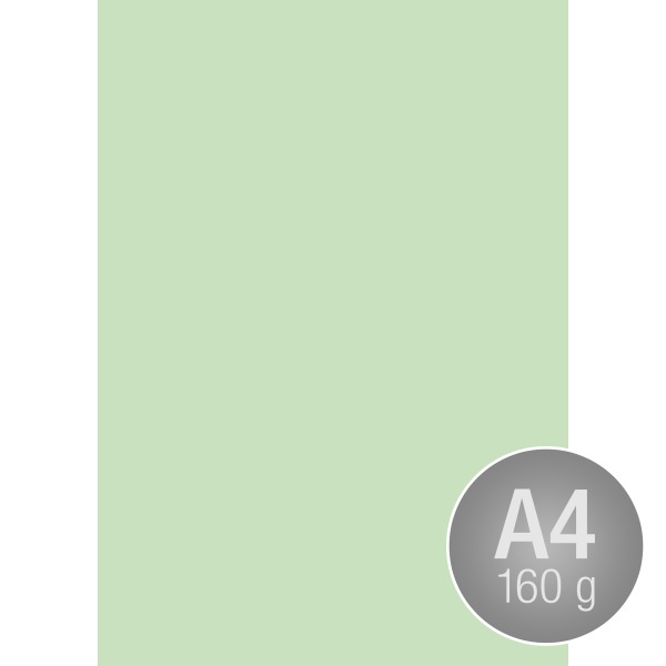 Image Coloraction A4, 160g, 250ark, enggrøn