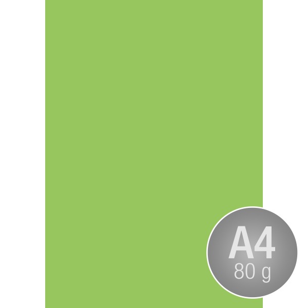 Image Coloraction A4 80 g | 500 ark | Ängsgrön
