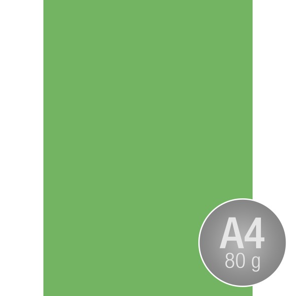 Image Coloraction A4 80 g | 500 ark | Smaragdgrön