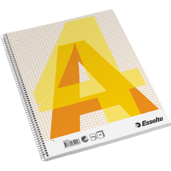 Esselte kollegieblock A4, rutat