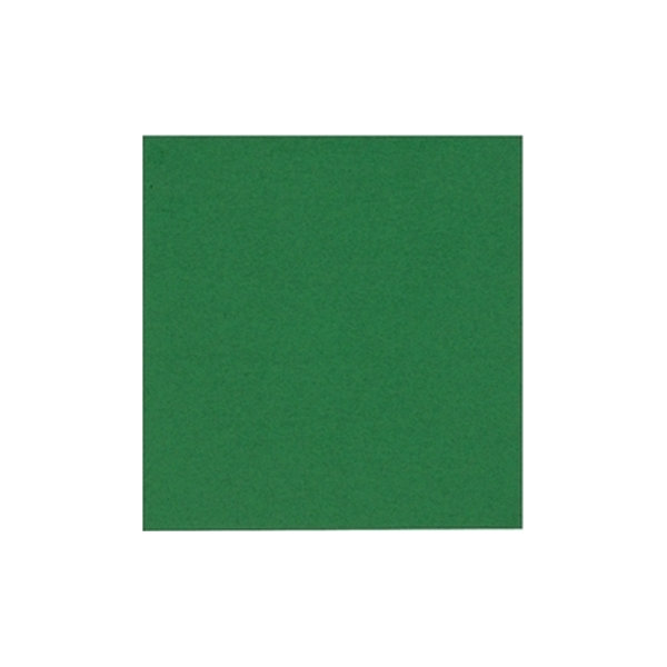 Pappersservett 2-lags 24x24 cm Grön 100 st