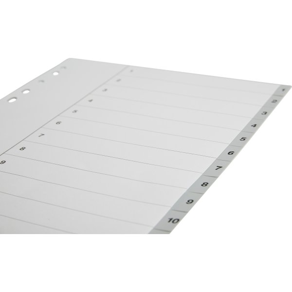 Register Budget A4 1-12 Plast