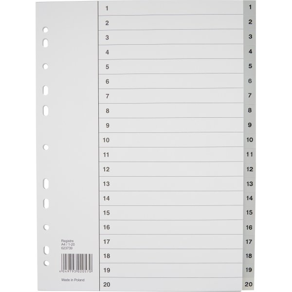 Register Budget A4 1-20 Plast