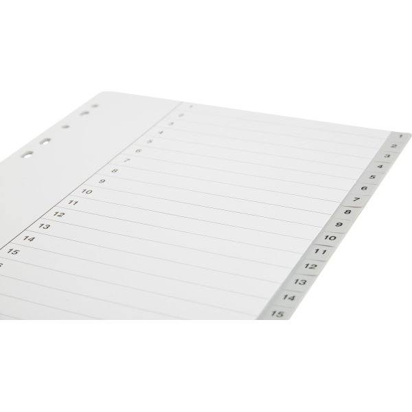 Register Budget A4 1-20 Plast