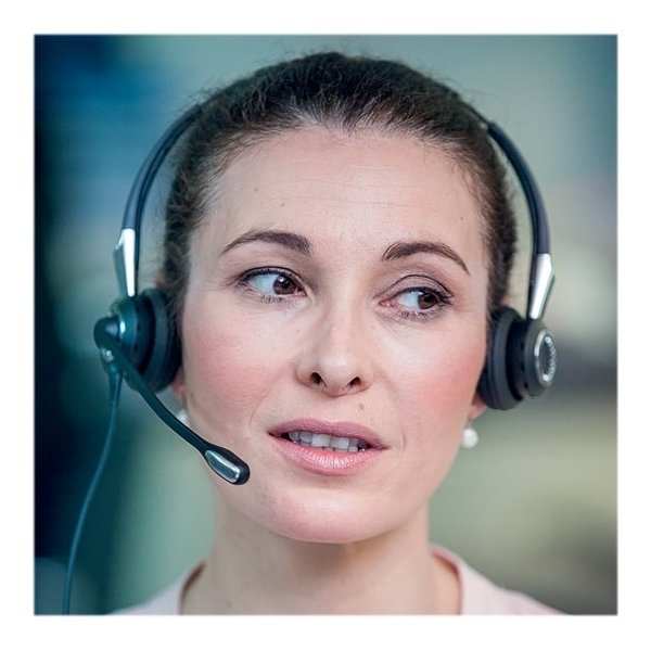 Jabra BIZ 2400 II Duo USB MS BT