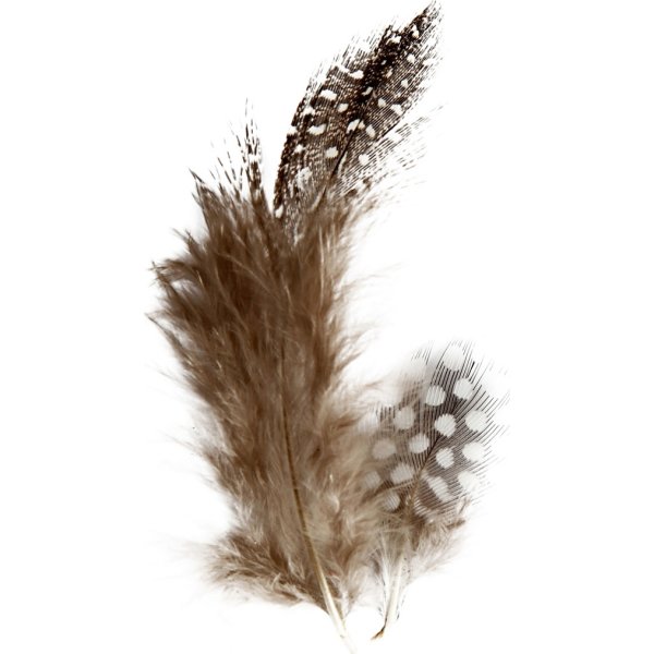 Perlehønsfjer, brun/natur, 100 stk