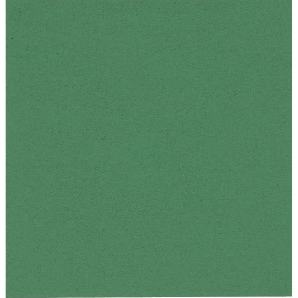 Pappersservett 2-lager 33x33 cm Grön 100 st
