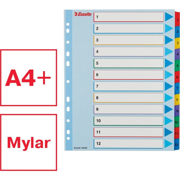 Esselte Mylar register A4, 1-12, overskrivbar