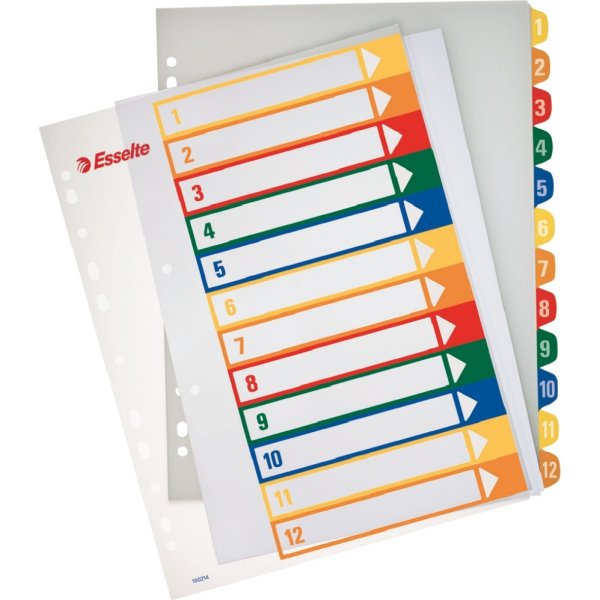 Register Esselte Maxi A4 1-12 För utskrifter