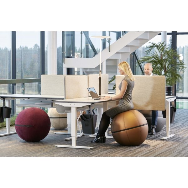 Office Ballz, balansboll Ø55 cm, grå/vit dragkedja