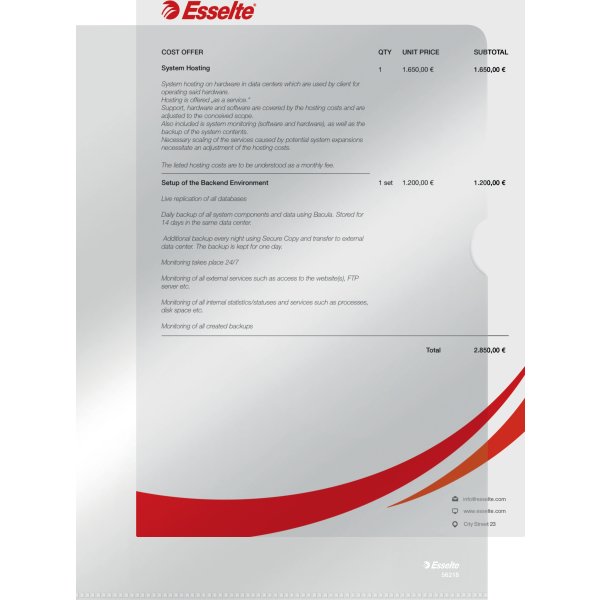 Esselte Premium mapp, A4, 0,105 mm, 100 st.