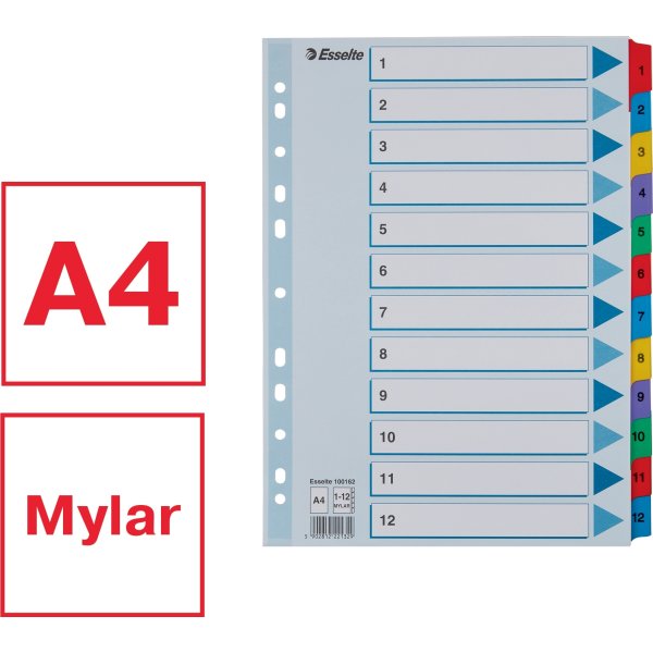 Register Esselte Mylar A4 1-12