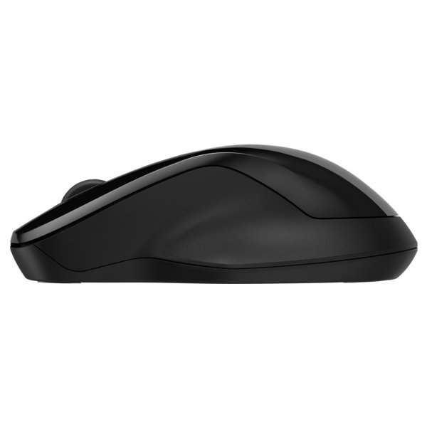 HP 250 Dual Wireless Mouse, svart