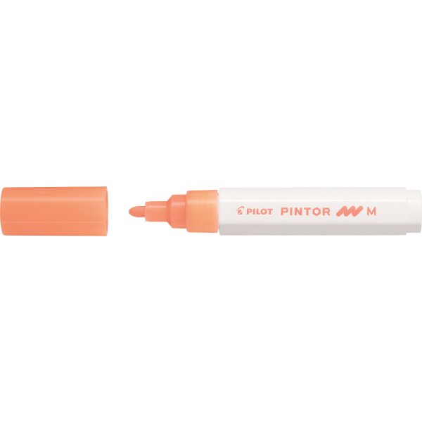 Pilot Pintor märkpenna | M | Neonorange