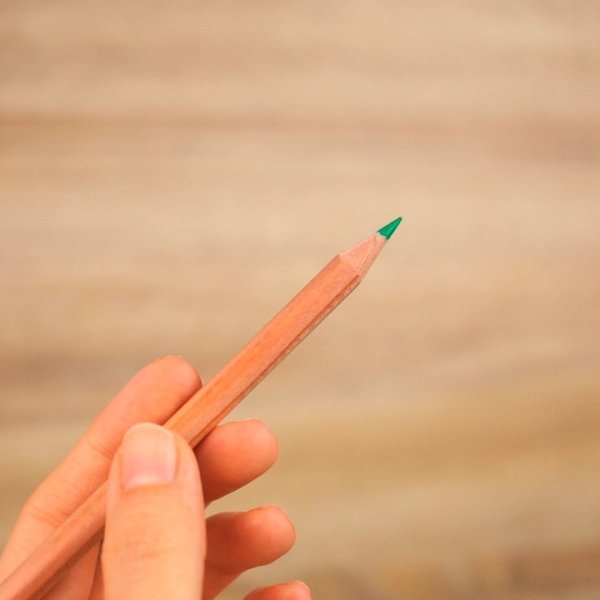 Tombow Eco Color-kritor, 12 färger