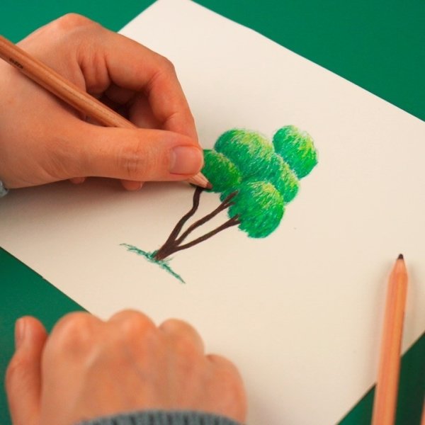 Tombow Eco Color-kritor, 12 färger
