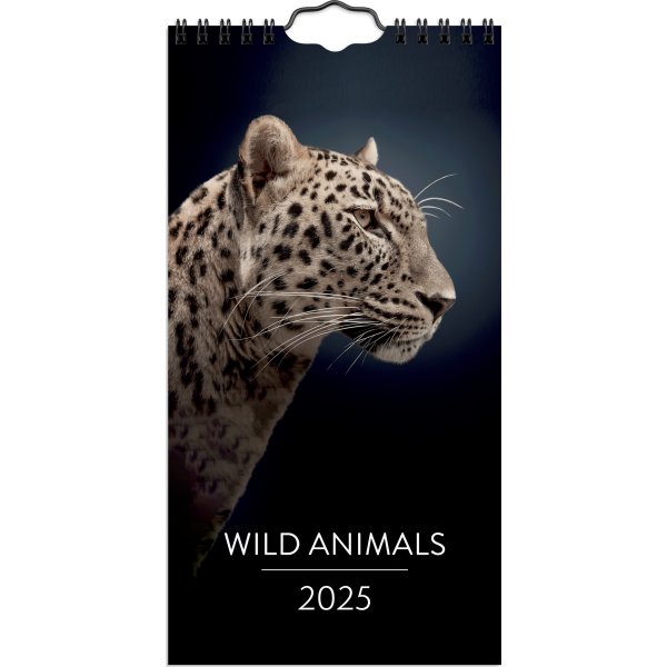 Burde 2025 Väggkalender, Wild animals