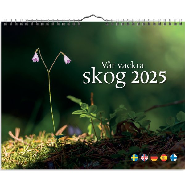 Burde 2025 Väggkalender, Vår vackra skog