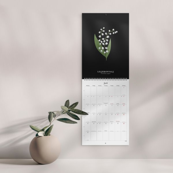 Burde 2025 Väggkalender, Illustrerad blomster