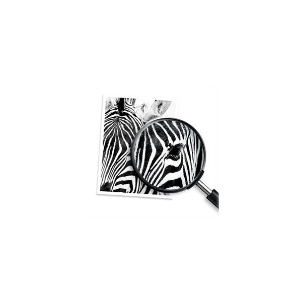 HP 51604A bläckpatron svart