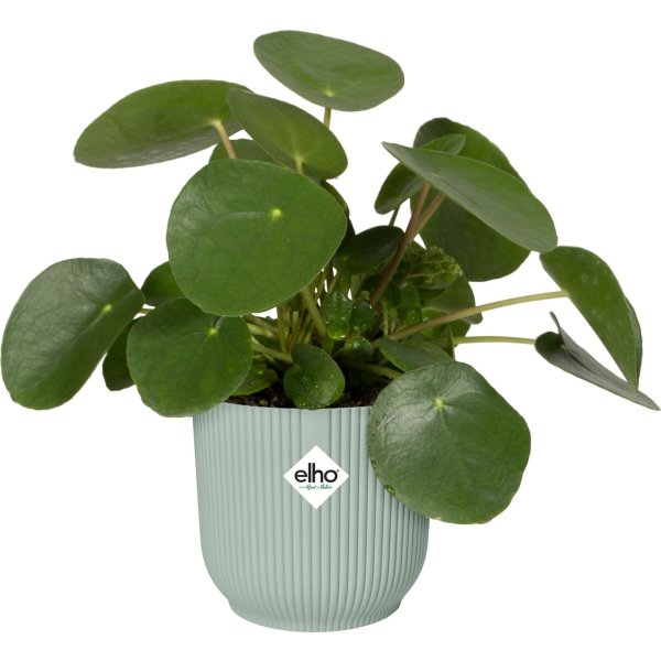 Elho Vibes Blomkruka, 11 cm, sorbetgrön