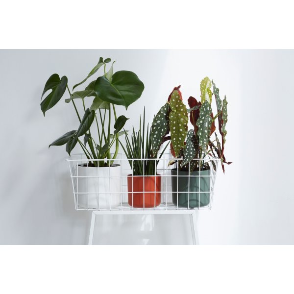 Elho B.for Soft Blomsterkruka, 18 cm, white