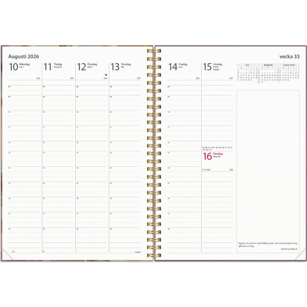 Burde 2026 Kalender, Business Story pensé