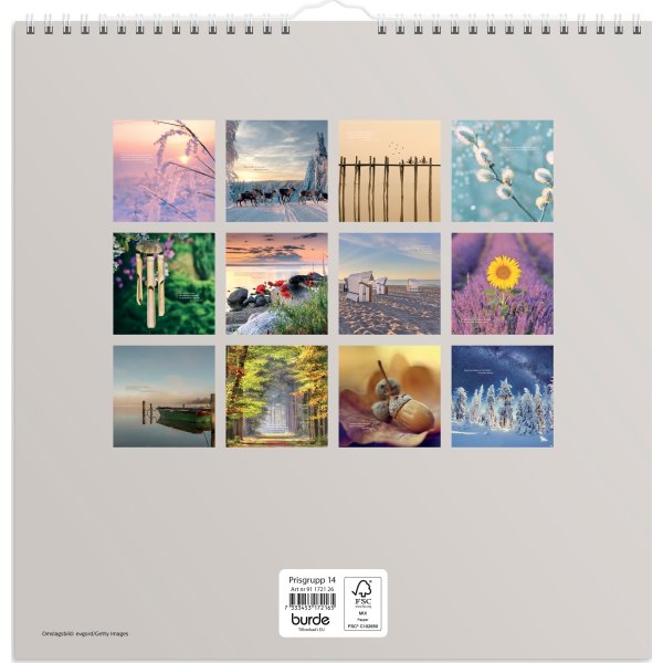 Burde 2026 Väggkalender, Carpe Diem
