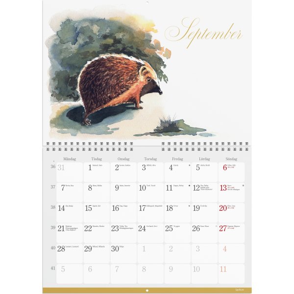 Burde 2026 Väggkalender, Naturalmanacka