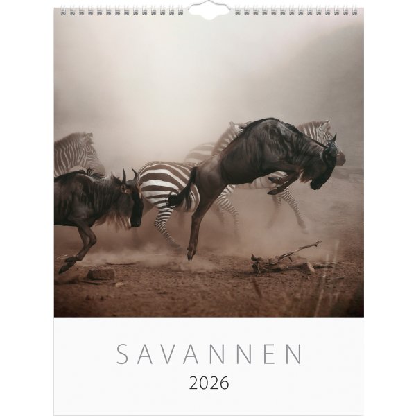 Burde 2026 Väggkalender, Savannen