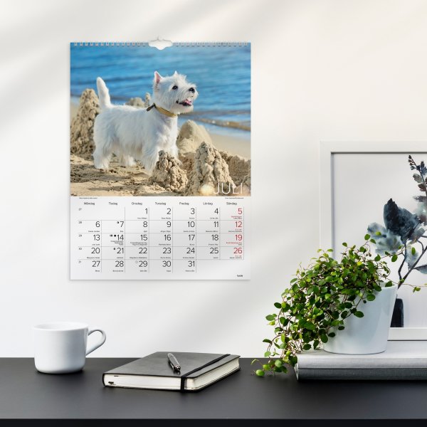 Burde 2026 Väggkalender, Stora Hundkalendern