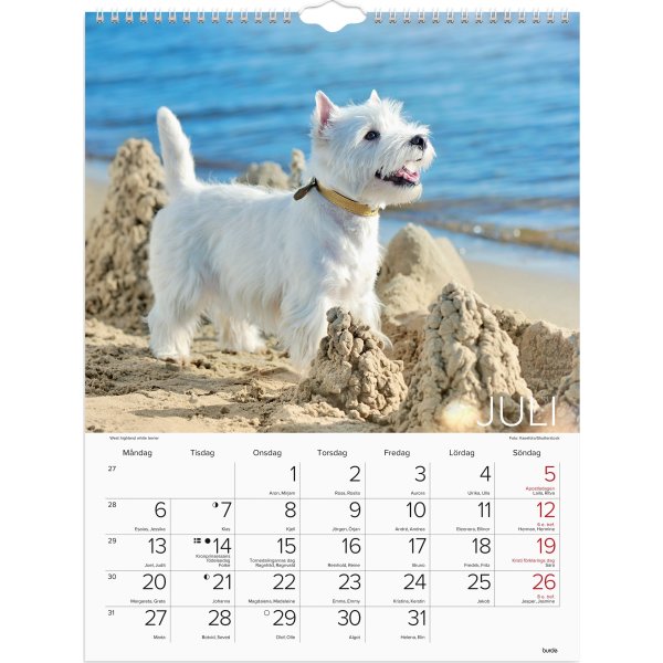 Burde 2026 Väggkalender, Stora Hundkalendern