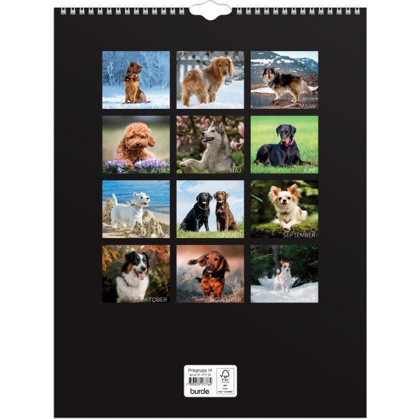 Burde 2026 Väggkalender, Stora Hundkalendern