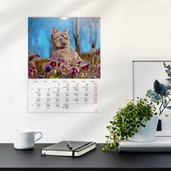 Burde 2026 Väggkalender, Stora Kattkalendern