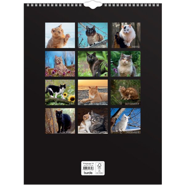 Burde 2026 Väggkalender, Stora Kattkalendern