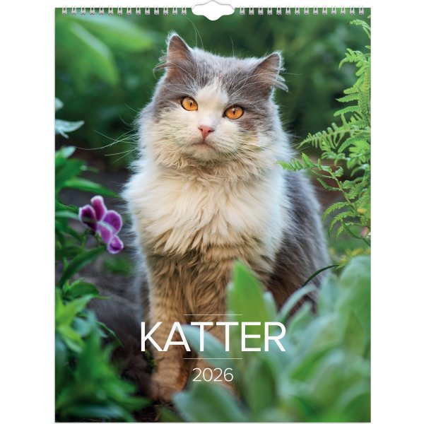 Burde 2026 Väggkalender, Stora Kattkalendern
