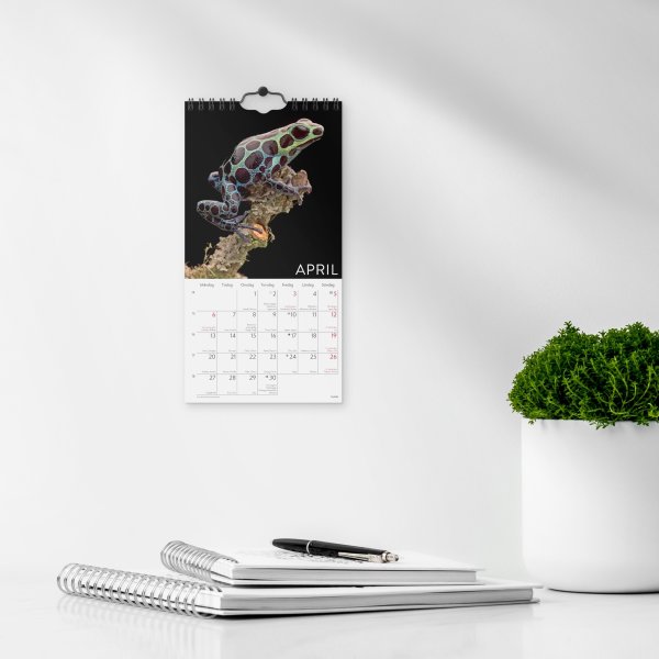 Burde 2026 Väggkalender. Wild Animals