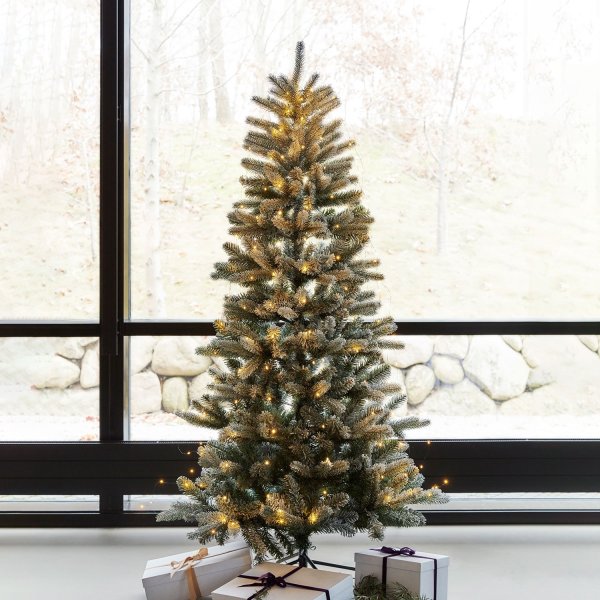 Sirius Elias Julgran, inkl. LED-ljus, H. 150 cm