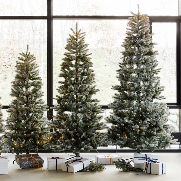 Sirius Elias Julgran, inkl. LED-ljus, H. 180 cm