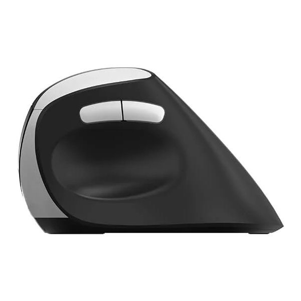 RAPOO Mus EV250, 2,4 GHz, trådlös, Optisk svart