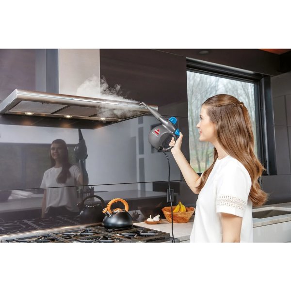 BISSELL Ångrengörare, handhållen