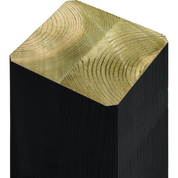 Plus Cubic 2 torkställning+ Snöre/beslag, svart