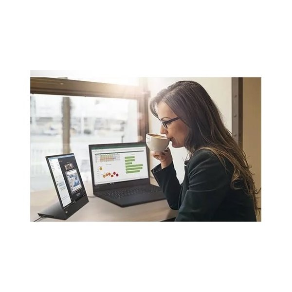 Lenovo ThinkVision M15 portabel 15,6" skärm