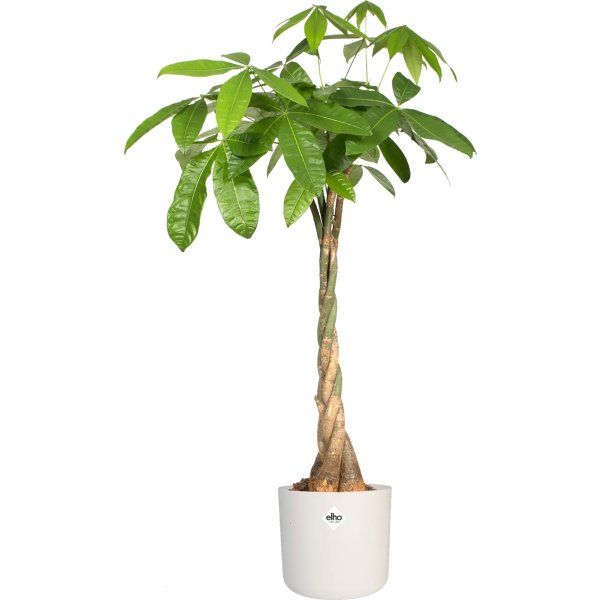 Elho B.for Soft blomkruka, 14 cm, vit