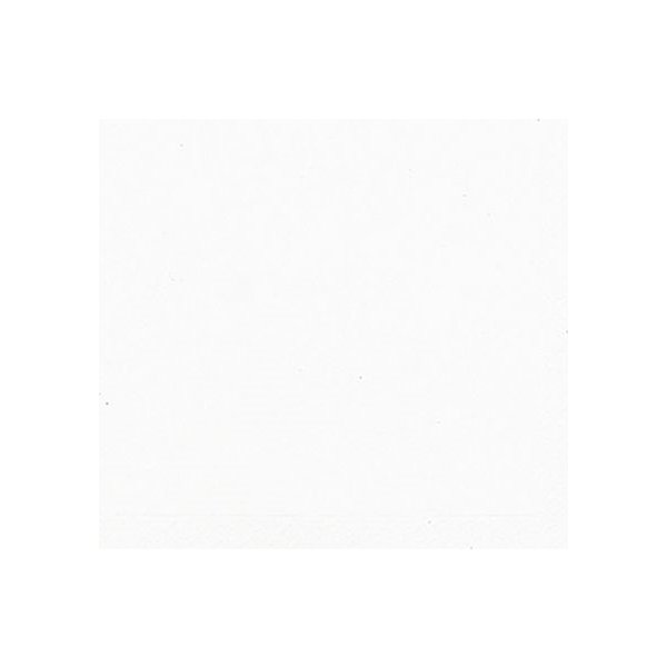 Servett DUNI 1-lags 33x33cm vit 500/fp