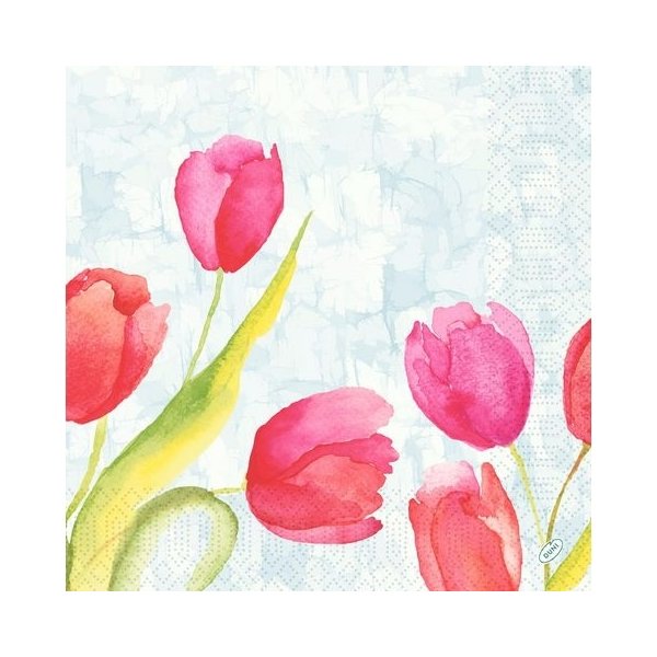 Servett Tulips 3-lags 40X40cm 250/fp