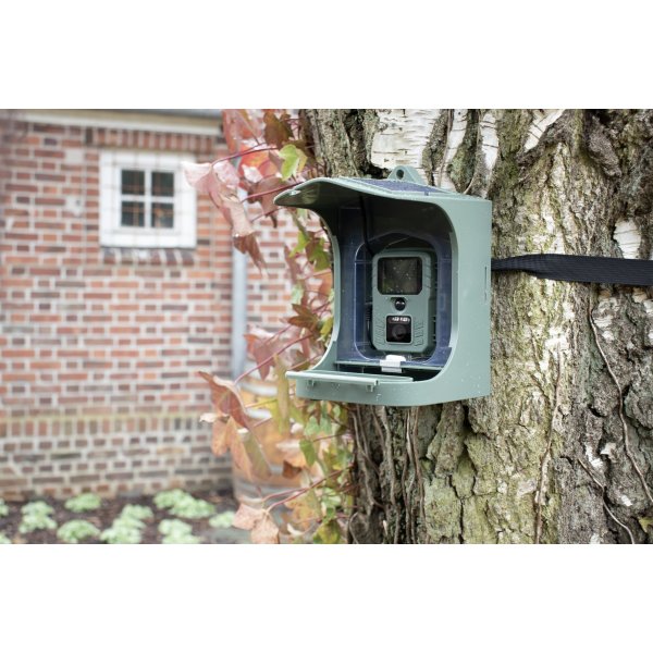 CapableX Fågelbräda med kamera