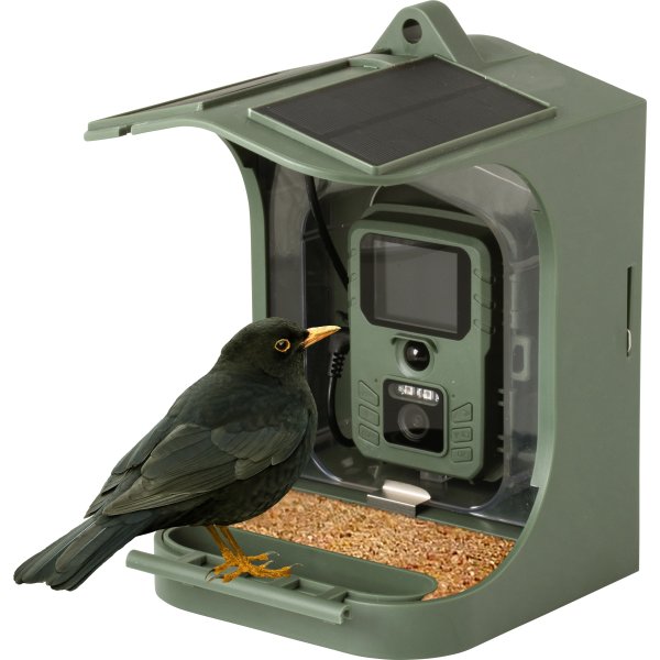 CapableX Fågelbräda med kamera
